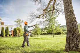 Leaf Removal in Stanley, VA